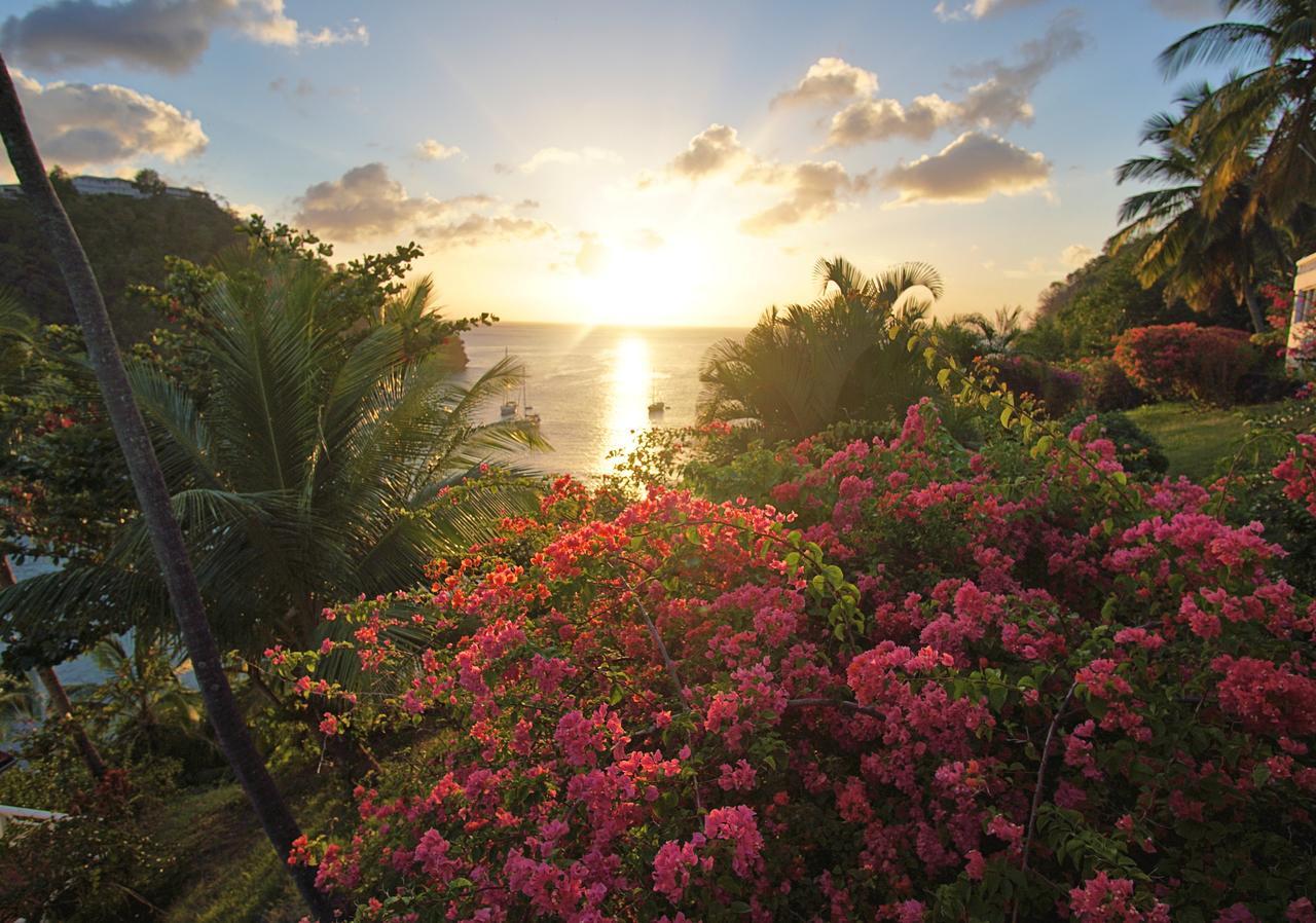 Marigot Beach Club & Dive Resort المظهر الخارجي الصورة